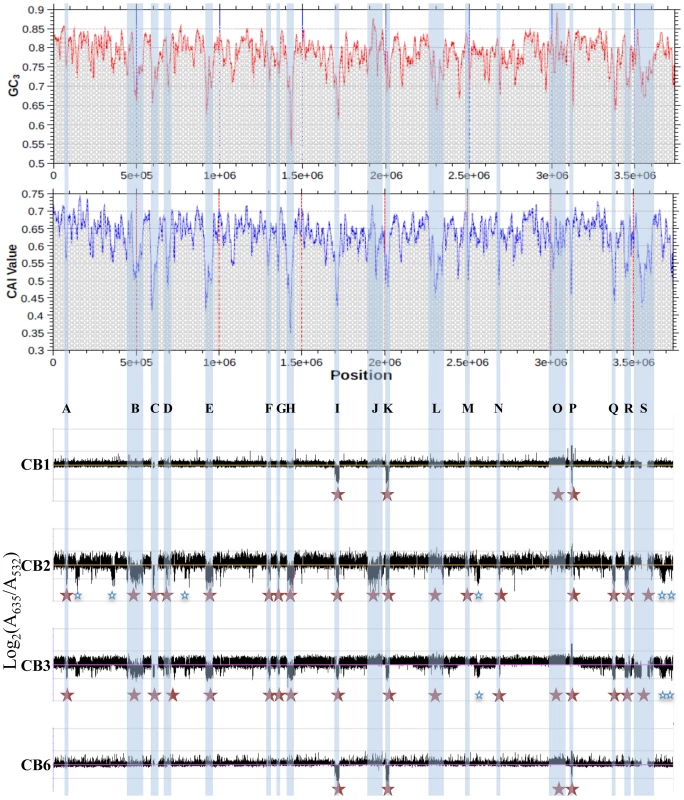Deleted or duplicated regions in CB strains, obtained by CGH experiments.