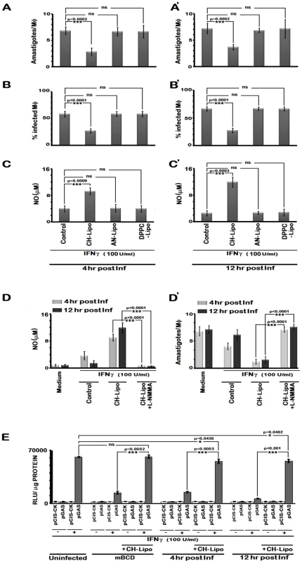 Cholesterol treatment restores IFNγ induced leishmanicidal effects in LD-infected MØs despite prolonged infection.
