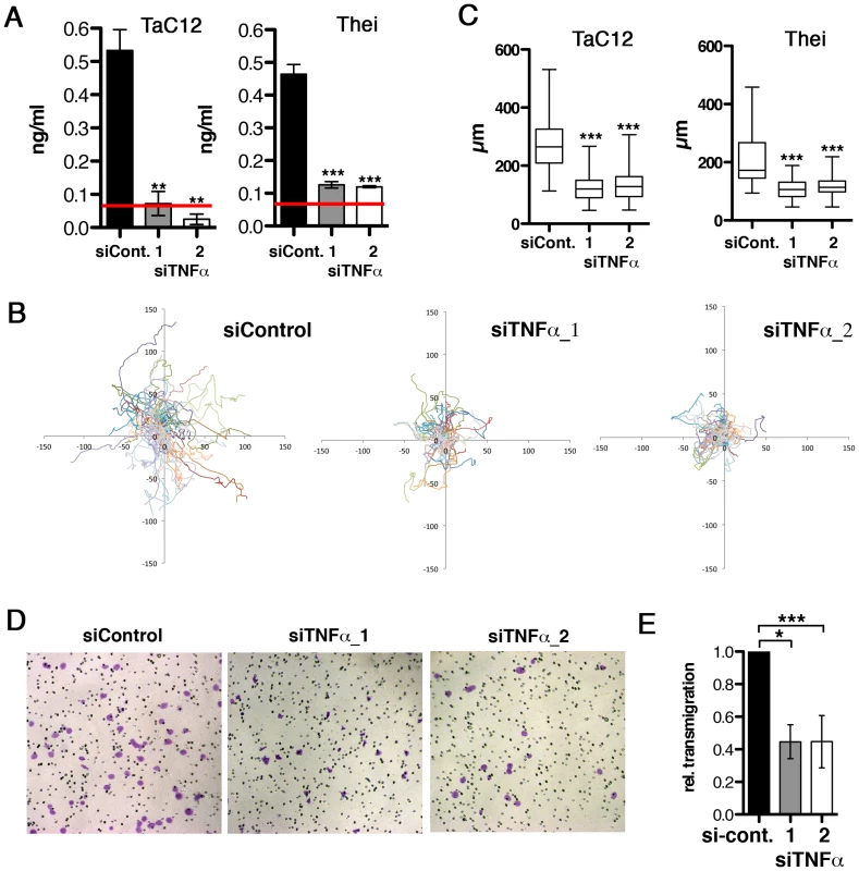 Host cell-secreted TNFα is required for parasite-induced motility.