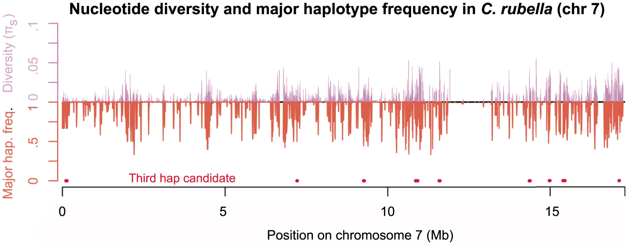 Diversity across chromosome seven in <i>C. rubella</i>.