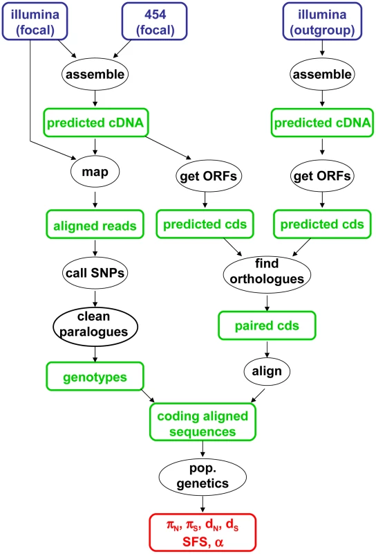 Main data analysis pipeline used in this study.