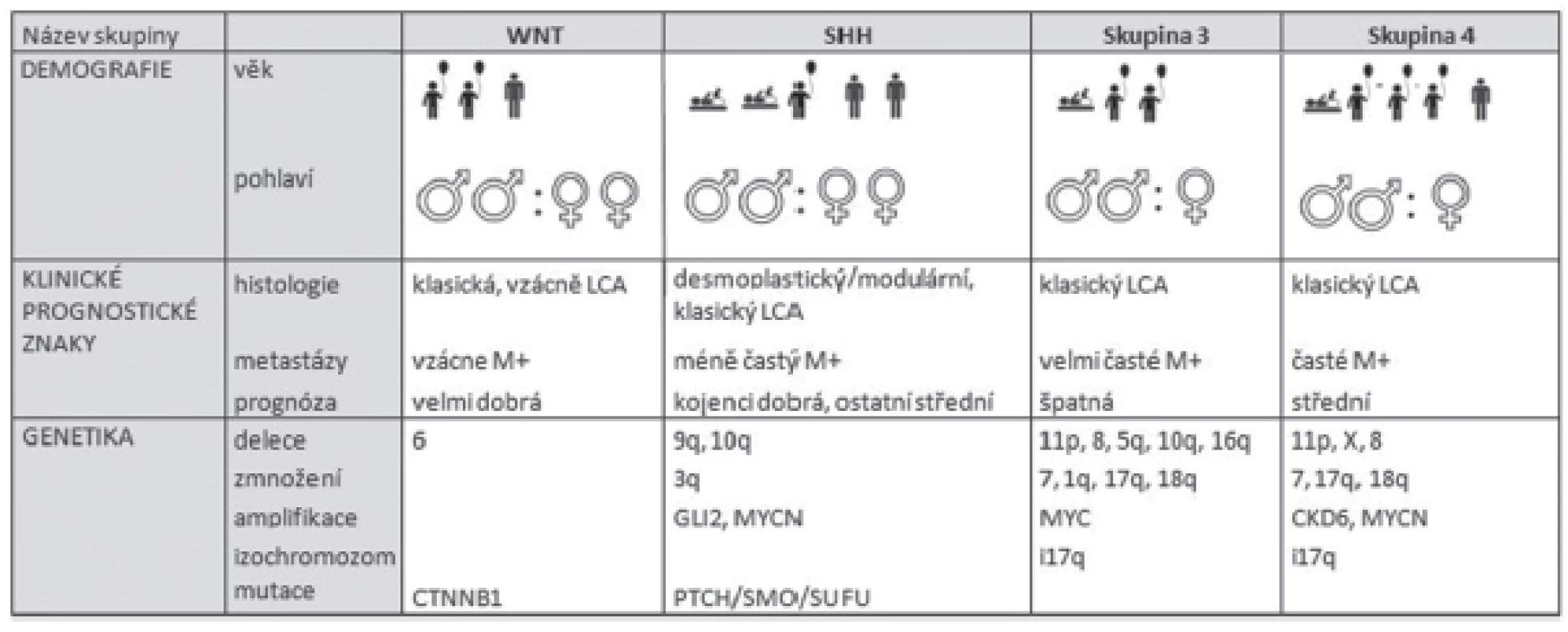Rozdělení meduloblastomu do diagnosticko-prognostických skupin. Upraveno podle Taylora et al. (18).
kojenec, dítě, dospělý, žena, muž