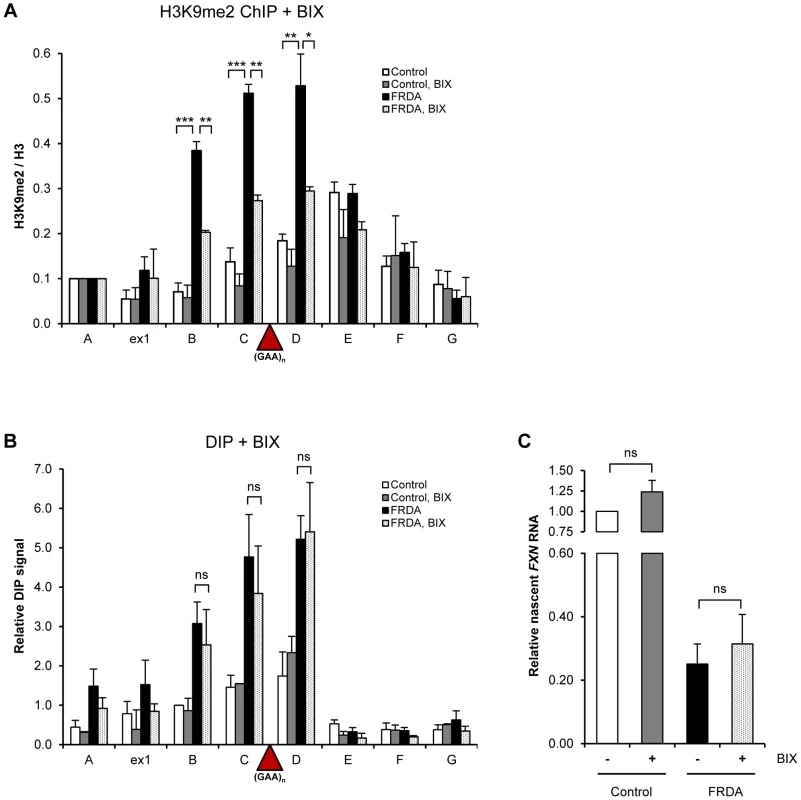 R-loops are not affected by changes in H3K9 dimethylation.