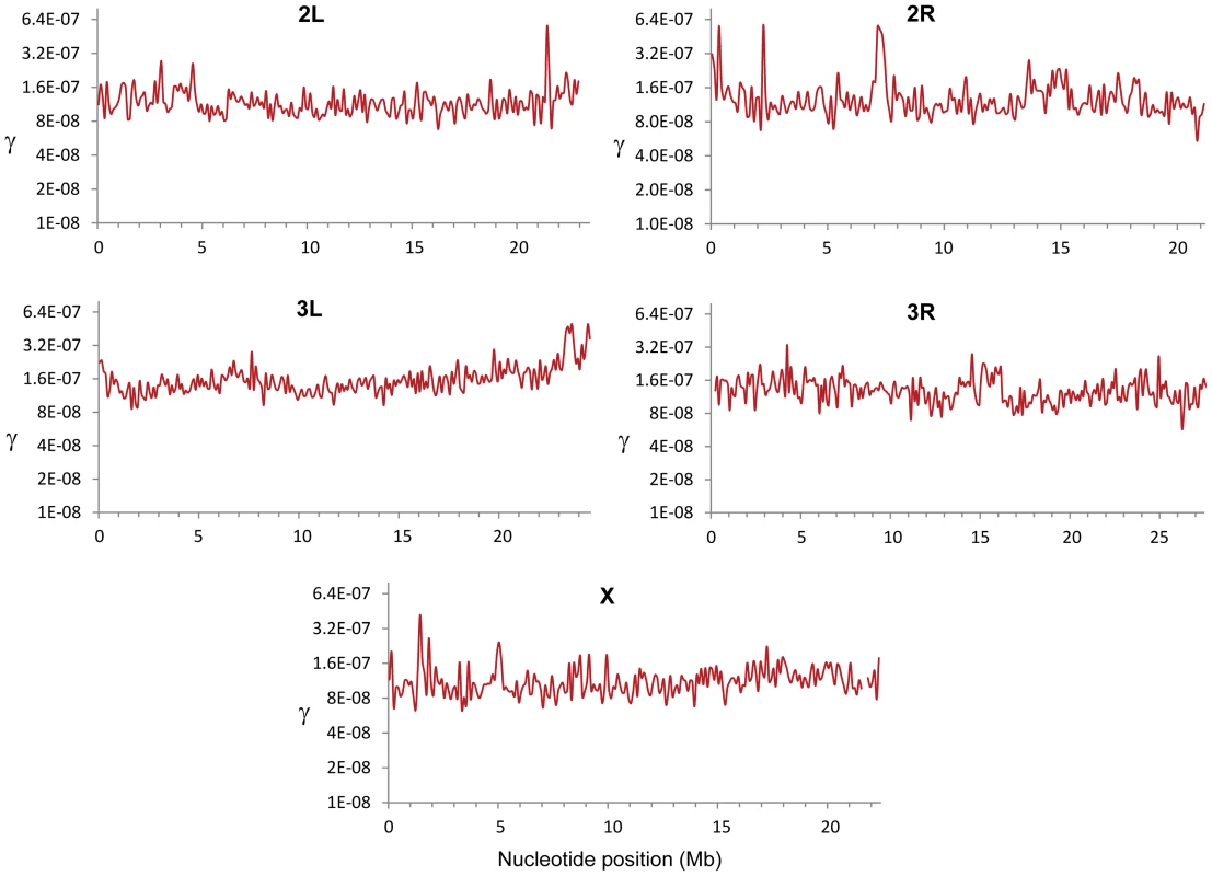 Estimates of the gene conversion initiation rate (γ) along chromosome arms in <i>D. melanogaster</i>.