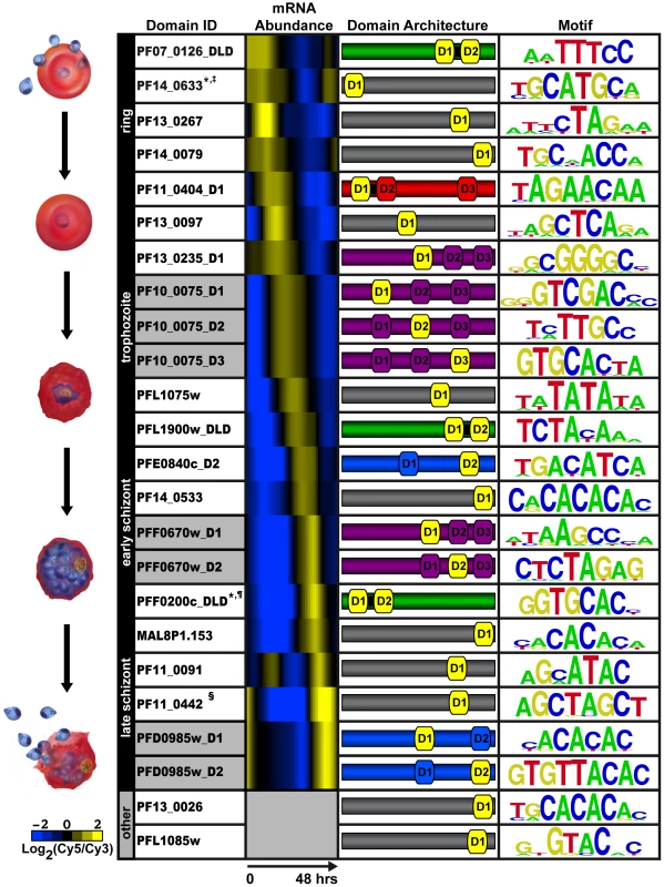 PBM derived motifs for <i>P. falciparum</i> ApiAP2 domains.