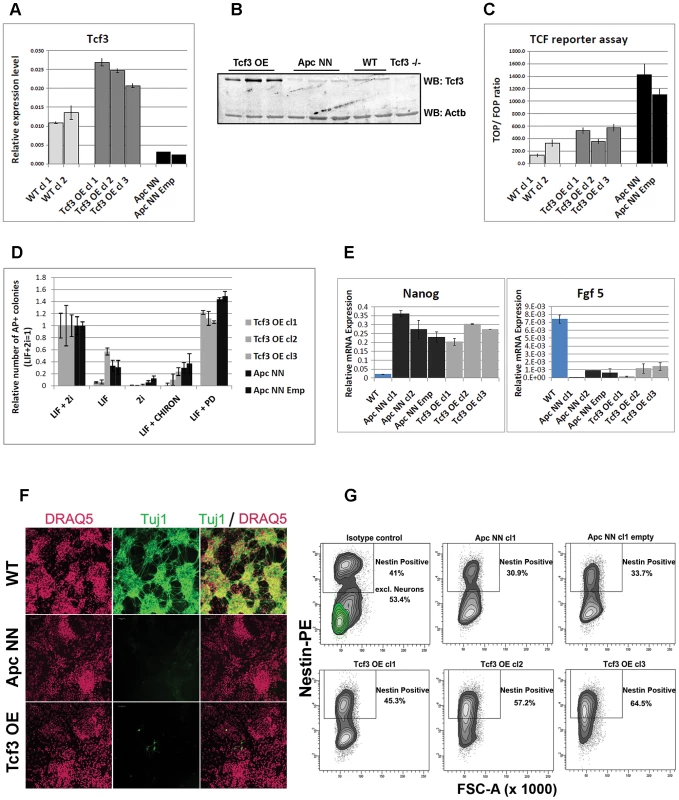 Characterization of Tcf3 over expressing ESCs.