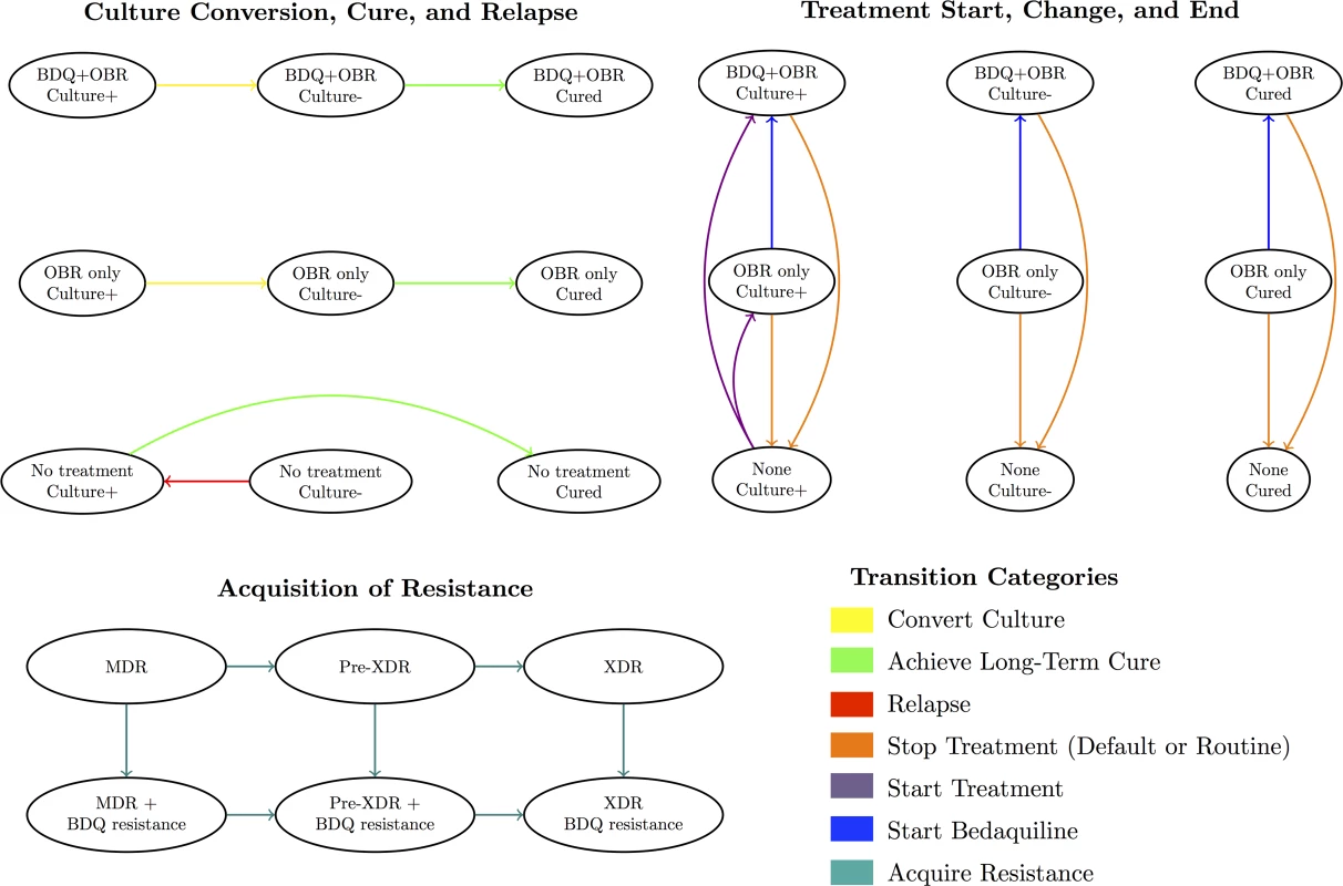 Overview of model health states and transitions.