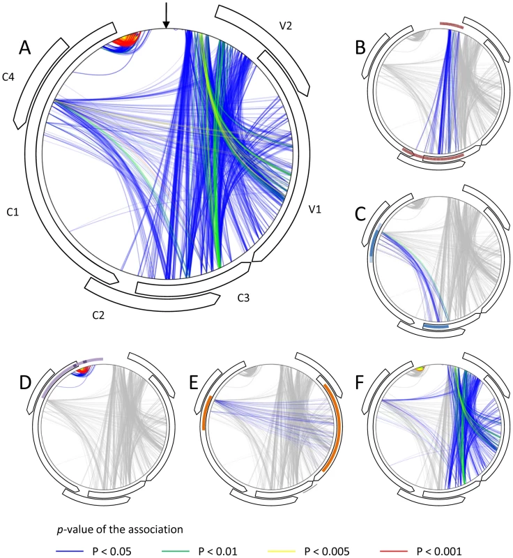 Schematic representation of nucleotide associations implied by non-random patterns of recombination that occur during <i>Tomato yellow leaf curl virus</i> (TYX) and <i>Tomato leaf curl Comoros virus</i> (TOX) co-infections.