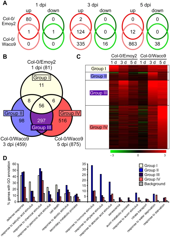 Arabidopsis genes differentially expressed after inoculation with <i>Hpa</i> Emoy2 and Waco9.