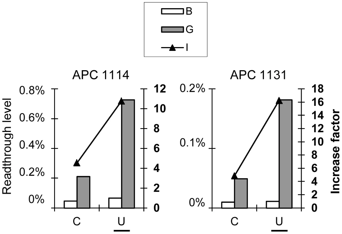 The nature of the tRNA at the P site is not the major determinant of the gentamicin response.