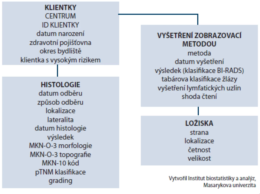 Datová struktura Registru screeningu karcinomu prsu.
