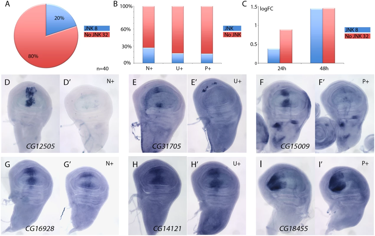 Analysis of JNK-dependent gene regulation for genes ectopically expressed in <i>salm/salr</i> knockdown discs.