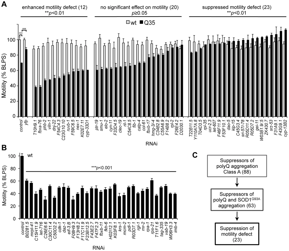 Suppression of polyQ aggregation and toxicity are genetically uncoupled.