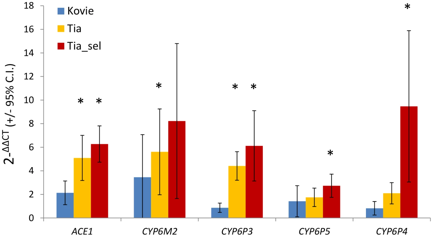 qRT-PCR expression analysis of candidate genes.