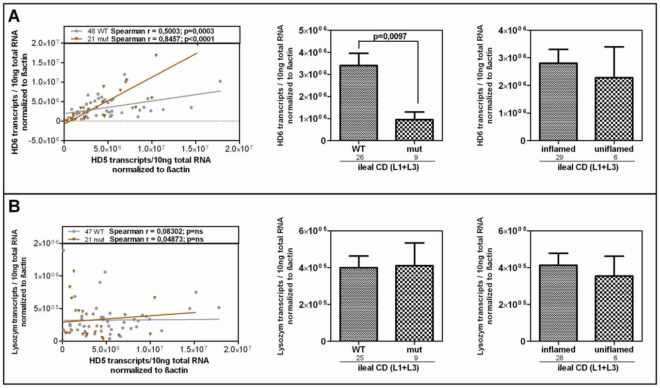 HD-6 but not lysozyme is reduced in patients who carry the rare LRP6 variant.
