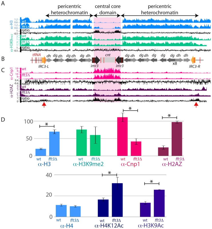 Centromeric boundary function is impaired in <i>fft3Δ</i> cells.