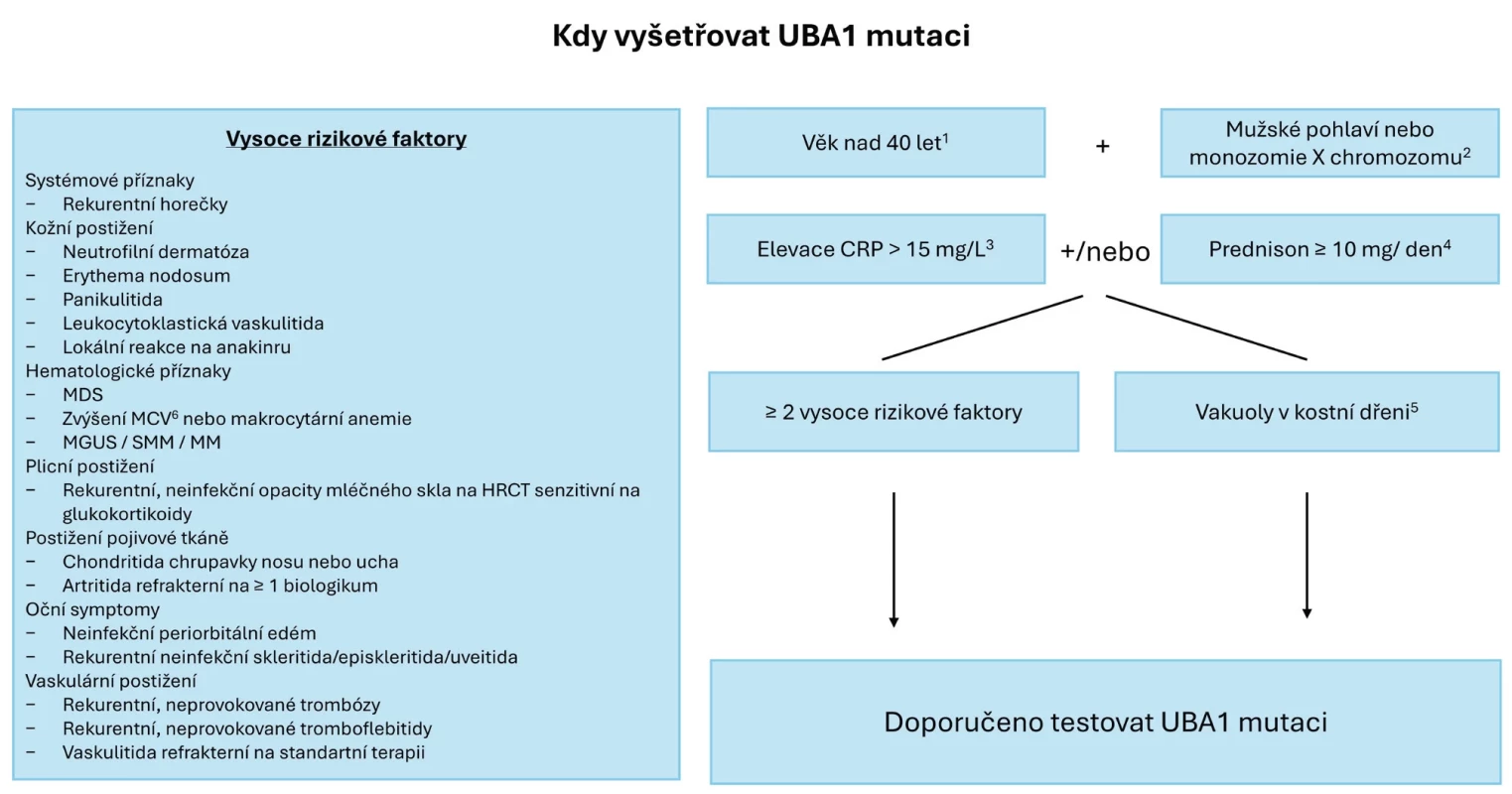 Diagnostický algoritmus při podezření na VEXAS syndrom (dle 7)