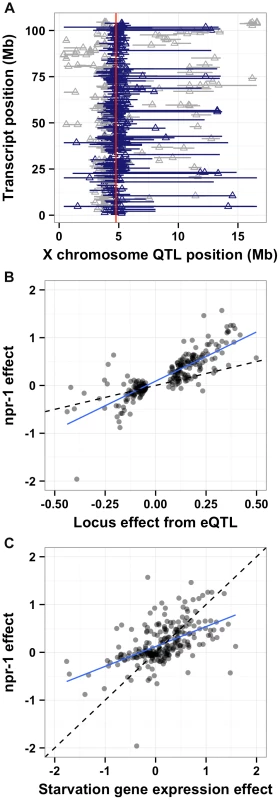 <i>npr-1</i> underlies many expression QTL and could cause chronic low-level starvation. (A)