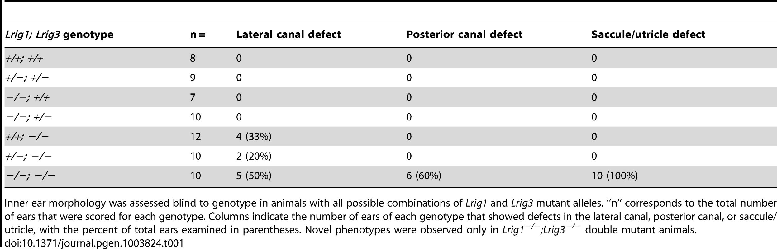 Paintfill analysis reveals inner ear morphological defects in <i>Lrig</i> mutants.