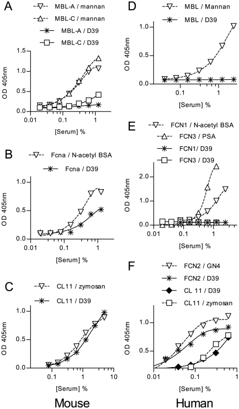 Binding of lectin pathway recognition molecules to <i>S. pneumoniae</i>.