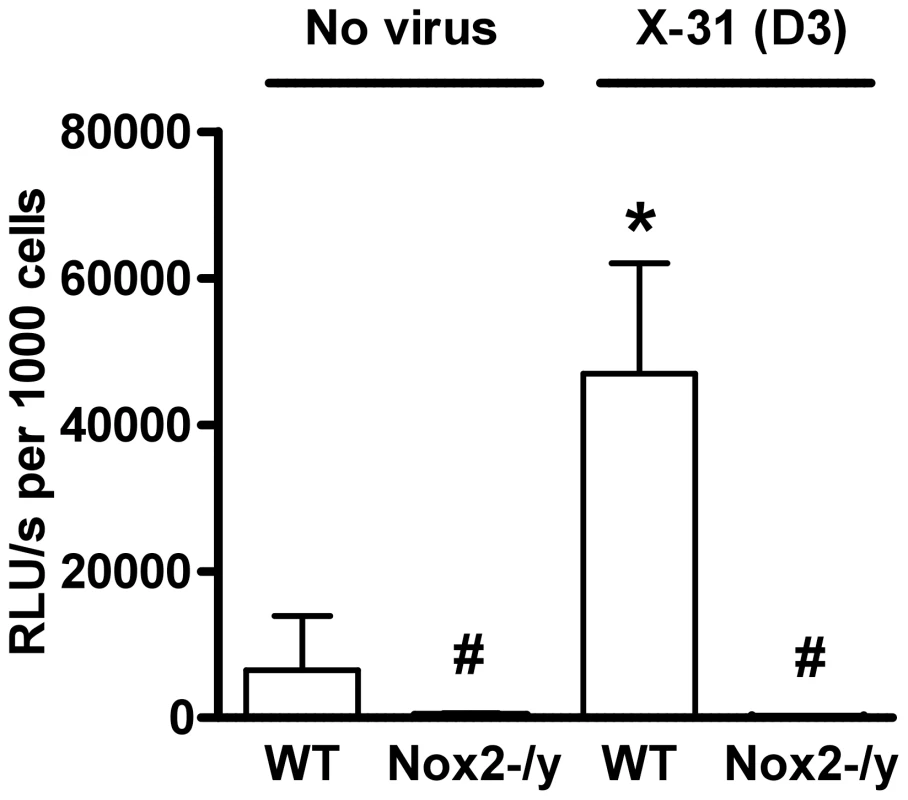 Superoxide production from BALF cells using L-O12-enhanced chemiluminescence.