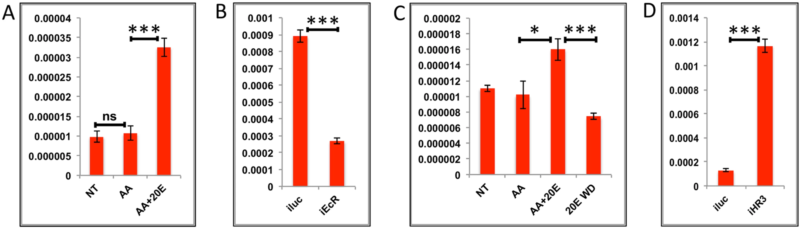 Effects of AAs, 20E and HR3 on EMGs.