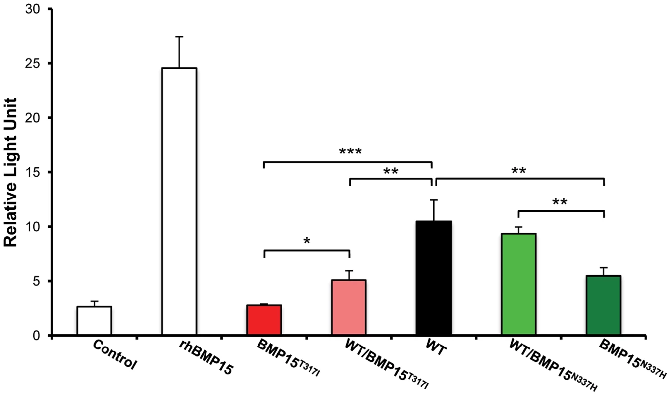 Functional effects of <b><i>FecX<sup>Gr</sup></i></b><b> and </b><b><i>FecX<sup>O</sup></i></b><b> mutations on the BMP15 activity.</b>