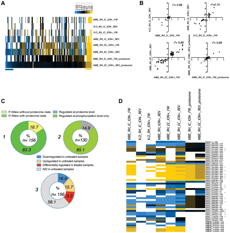 Analysis of differential phosphorylation site usage and protein abundance in WT and TgCDPK3 mutant parasites (see <em class="ref"><b>Figure 1</b></em> and <em class="ref">Figure S1</em> for a description of experimental conditions).