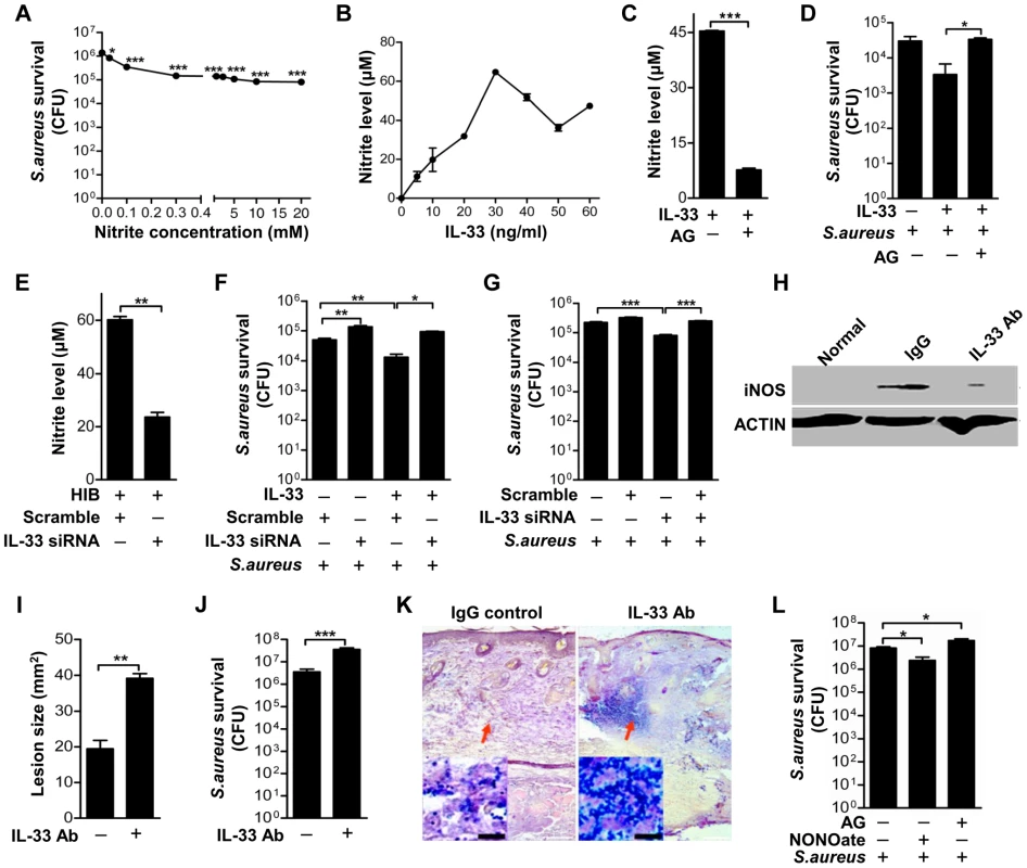 IL-33 activates iNOS to release NO against <i>Staphylococcus aureus</i> infection.