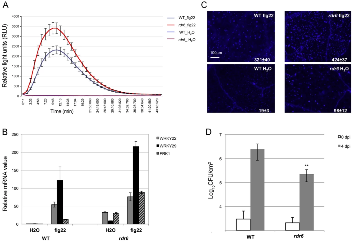 <i>RDR6</i> negatively regulates PTI responses.
