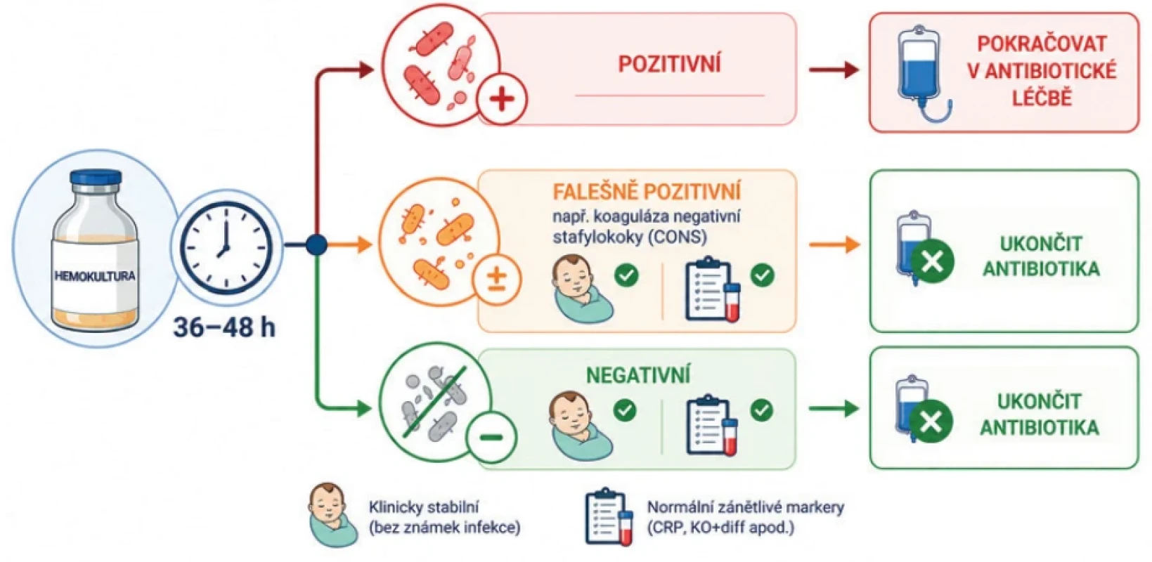 Rozhodovací schéma ukončení empirické antibiotické léčby u novorozenců. Výsledek hemokultury po 36–48 hodinách představuje klíčový rozhodovací bod pro další vedení antibiotické léčby. Při pozitivním nálezu je indikováno pokračování antibiotické terapie. V případě falešně pozitivního nálezu (např. koaguláza negativní stafylokoky, CONS) nebo negativní hemokultury lze antibiotickou léčbu ukončit, pokud je novorozenec klinicky stabilní a laboratorní známky zánětu jsou negativní. Tento přístup odpovídá současným doporučením pro racionální používání antibiotik v neonatologii.