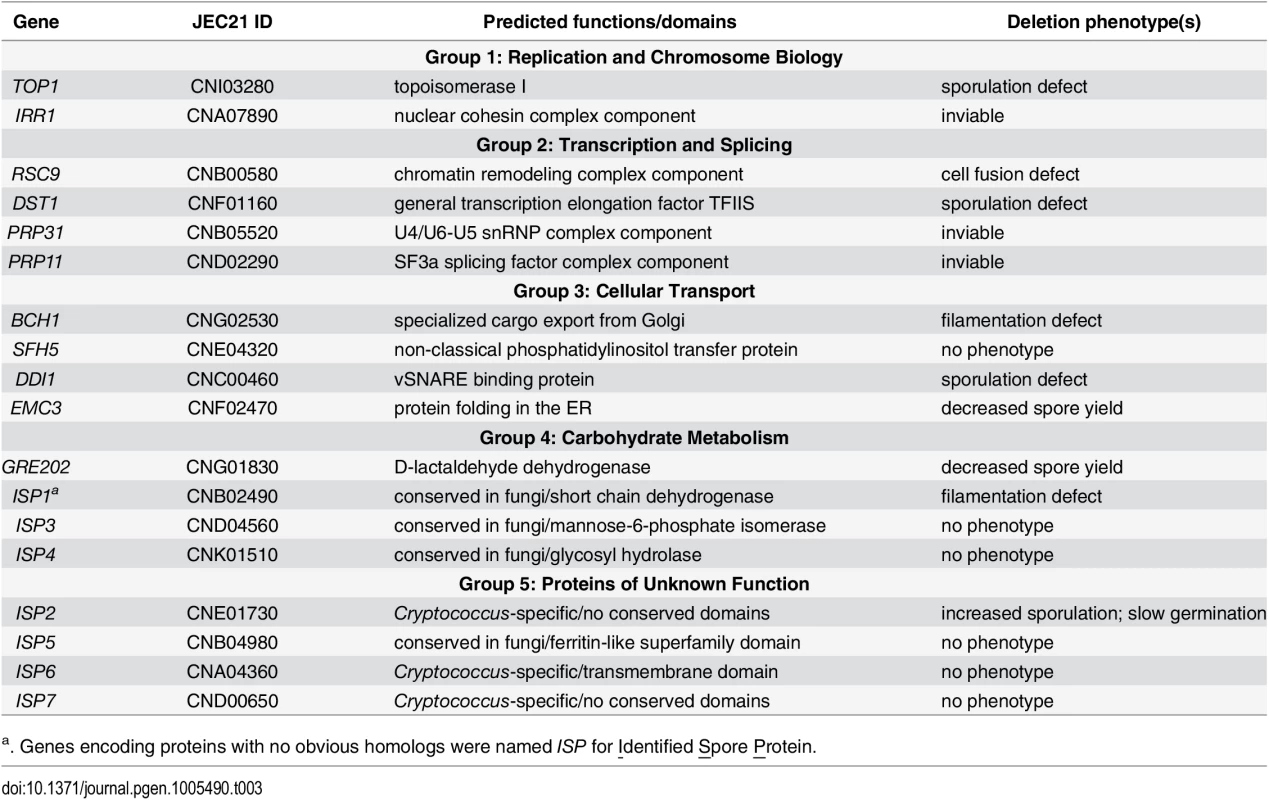 Eighteen genes encoding spore-enriched proteins.