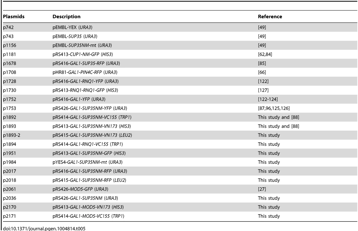 Plasmids used in this study.
