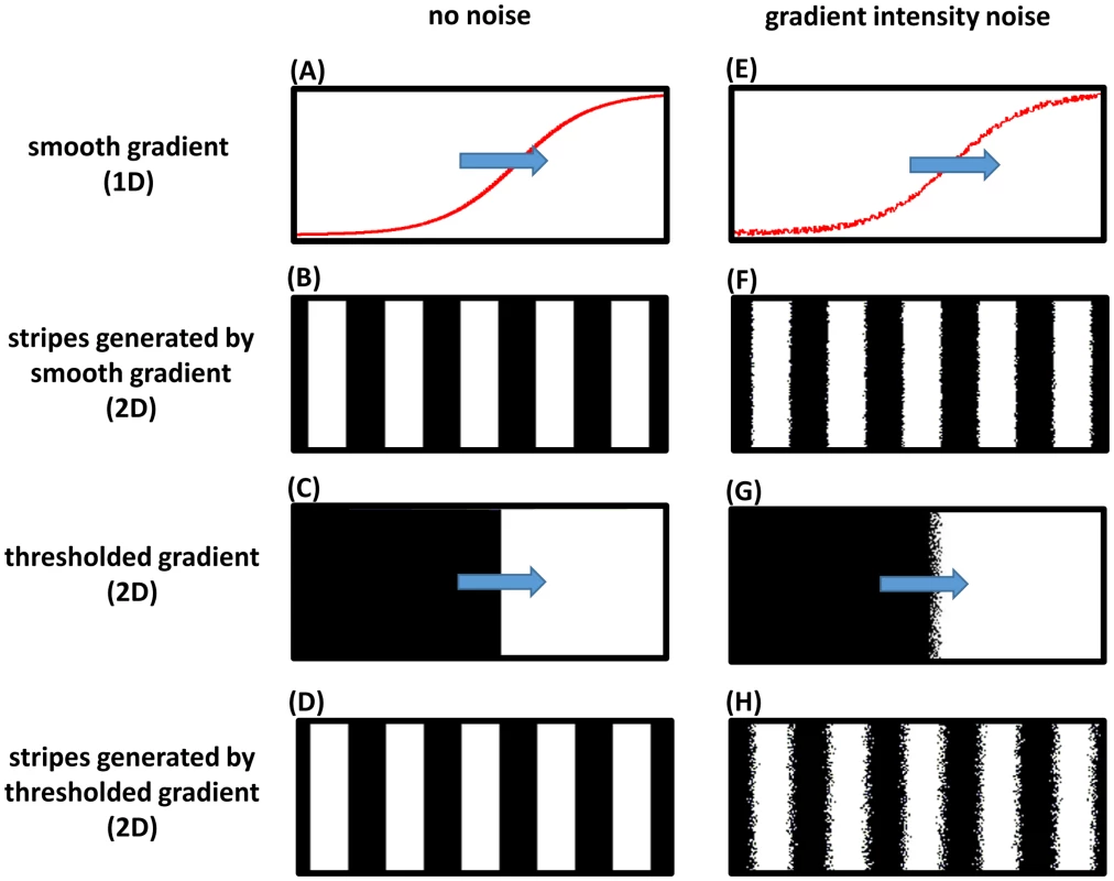 Frequency profile and robustness of the clock-and-wavefront model.