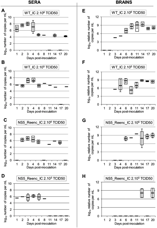 Viral RNA yields in sera (A-D) and brains (E-H).