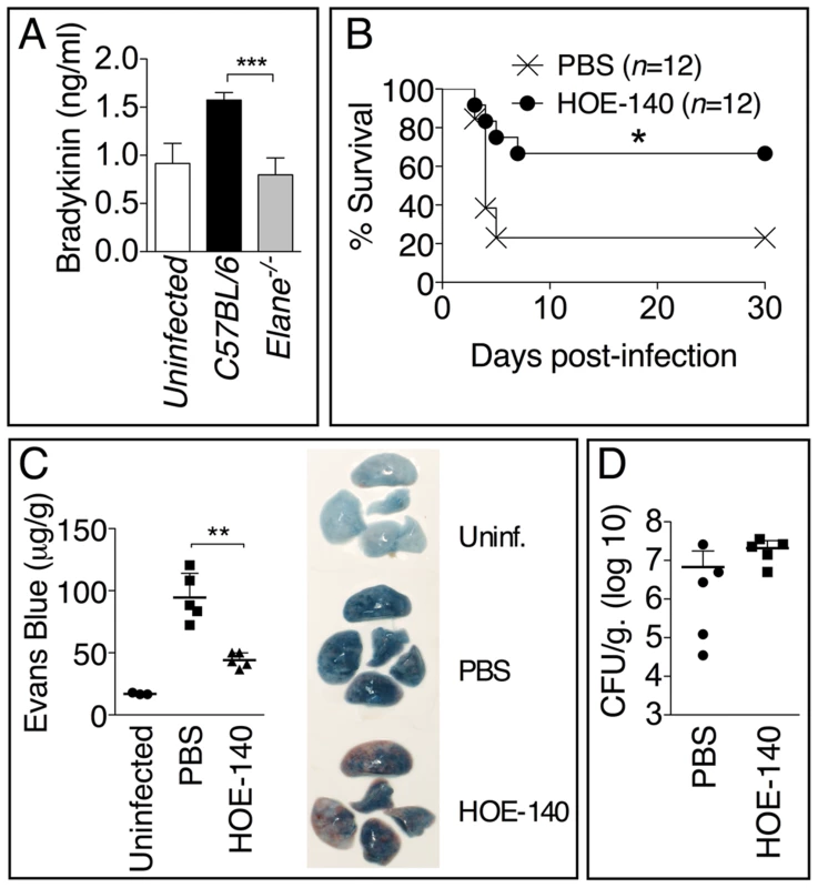 Bradykinin contributes to NE-mediated lung damage and decreased host tolerance.