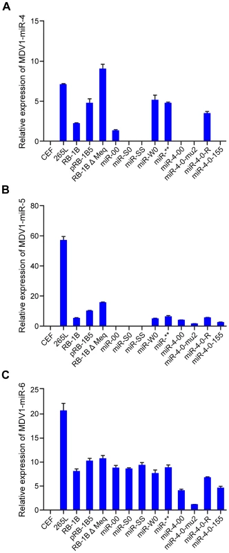 Expression of miR-M4, miR-M5 and miR-M6 in infected cells.
