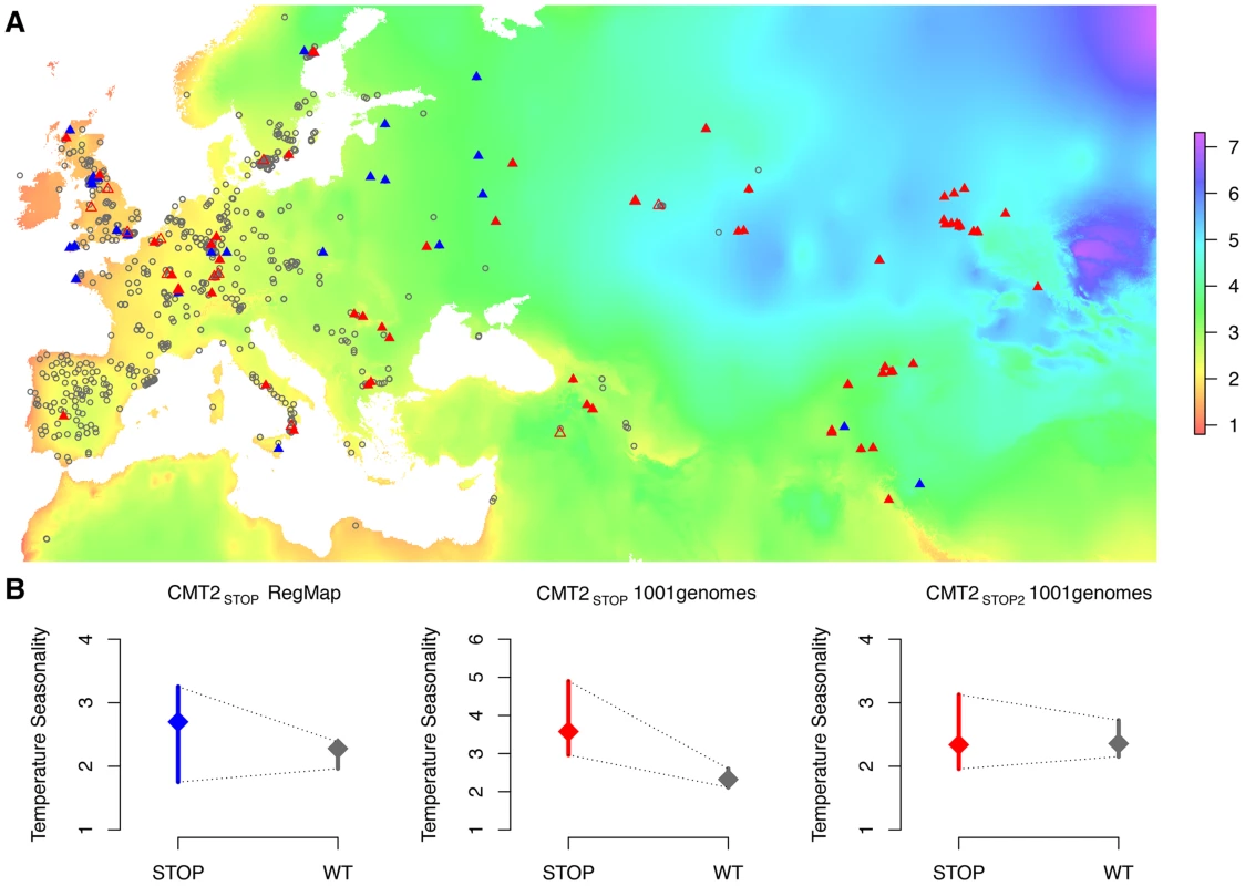 Geographic distribution of, and heterogenous variance for, three <i>CMT2</i> alleles in two collections of <i>A. thaliana</i> accessions.