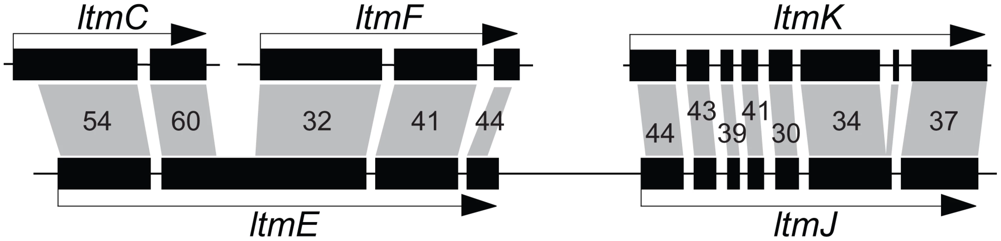Relationships of <i>ltmE</i> and <i>ltmJ</i> with other <i>LTM</i> genes.