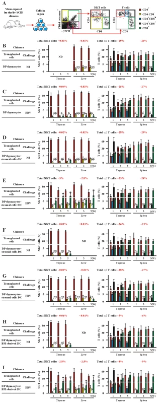 EBV-induced CD8<sup>+</sup> NKT cell development occurs at the DP thymocyte stage and depends upon thymic dendritic cells.