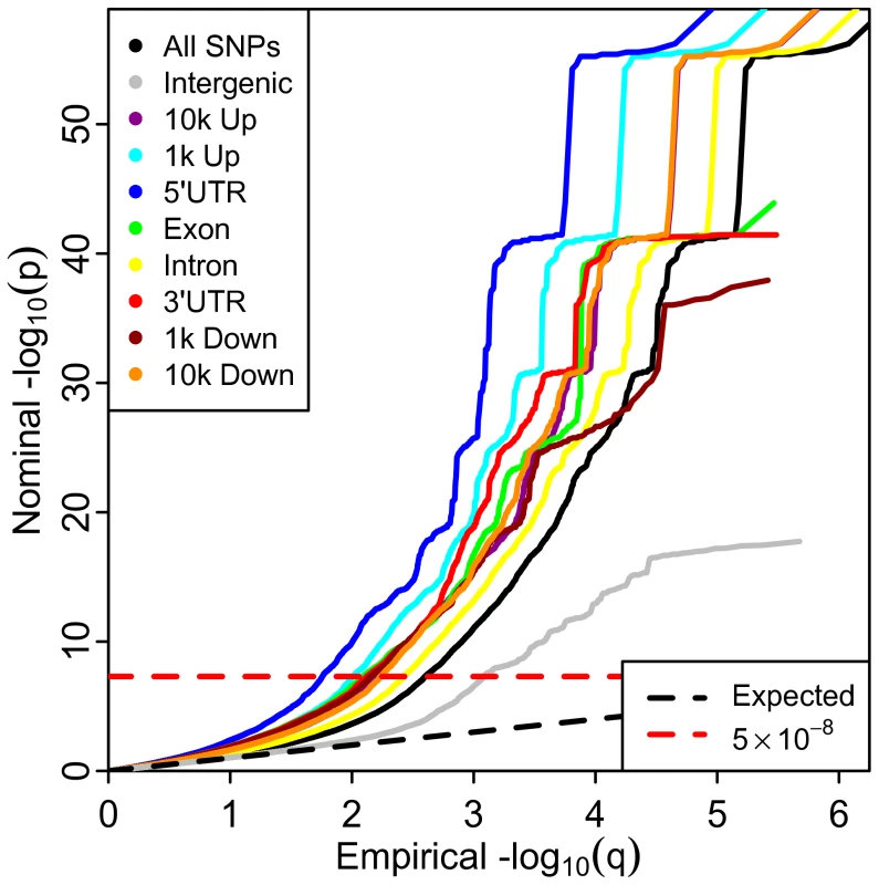 Stratified Q-Q plot for height shows enrichment by annotation categories using Linkage-Disequilibrium (LD)-weighted scores.