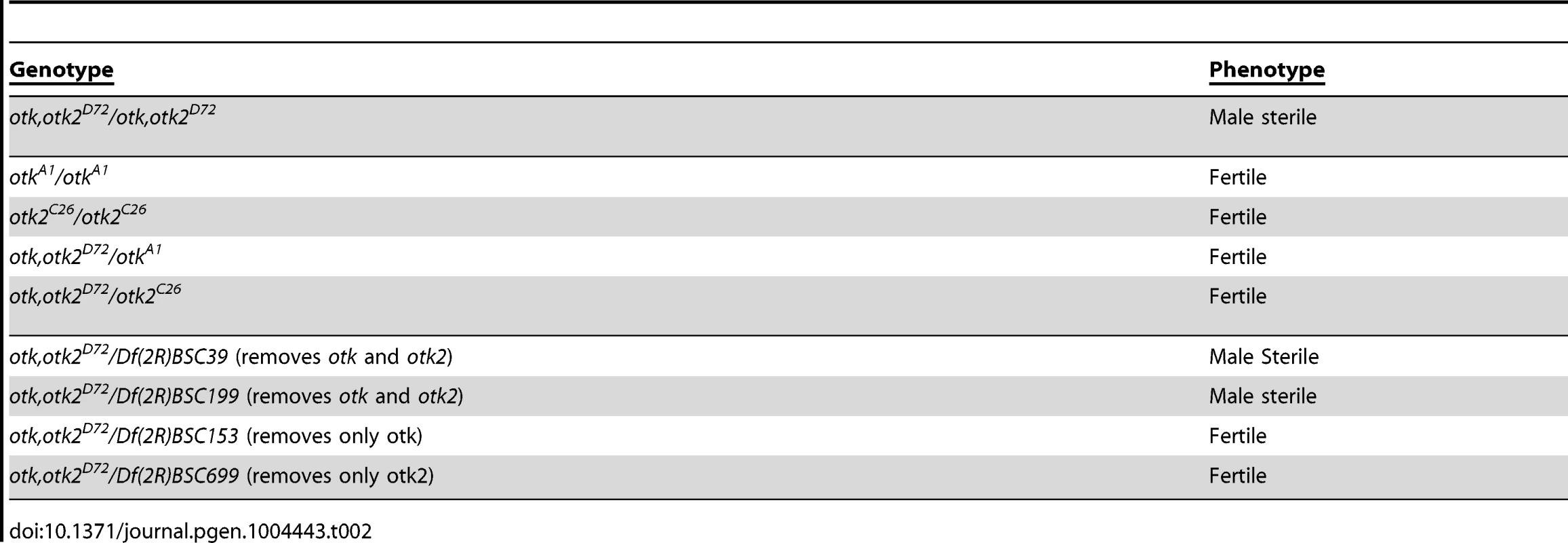 <i>otk, otk2<sup>D72</sup></i> homozygous mutant males are sterile.