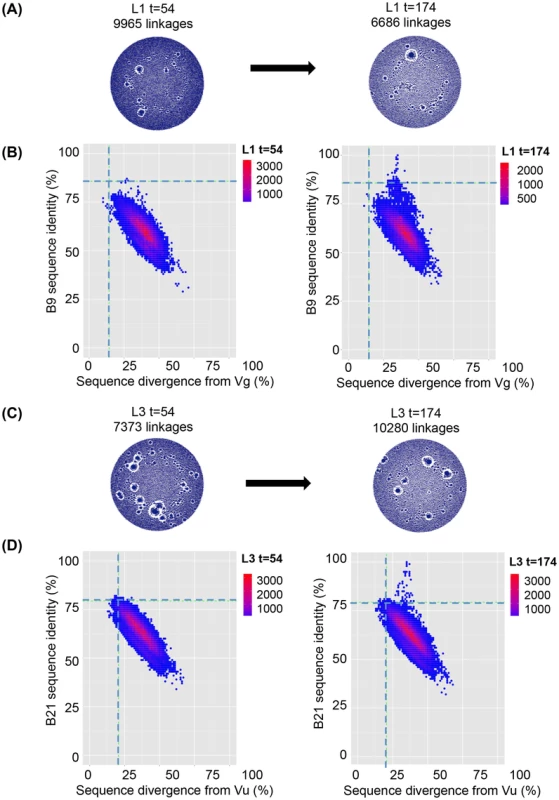 VHH repertoires post DNA/VLP priming and gp140 boosts.