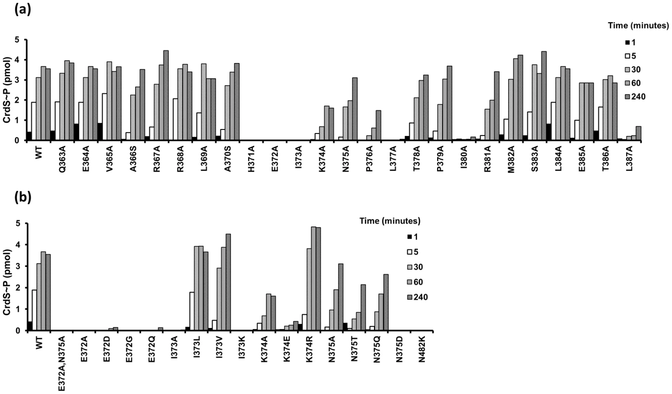 Kinase Activity of CrdS α1 Mutants.