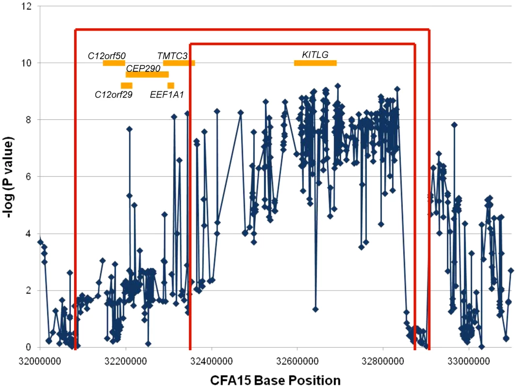 Recombination and association analyses resolve the region to the <i>KITLG</i> locus.
