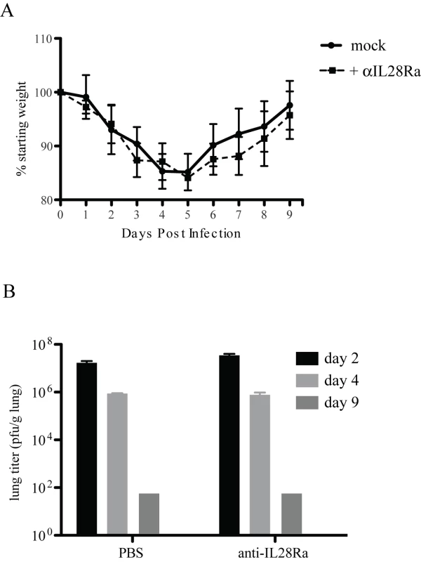 IFNL receptor antibody treatment of IFNAR1−/− mice.