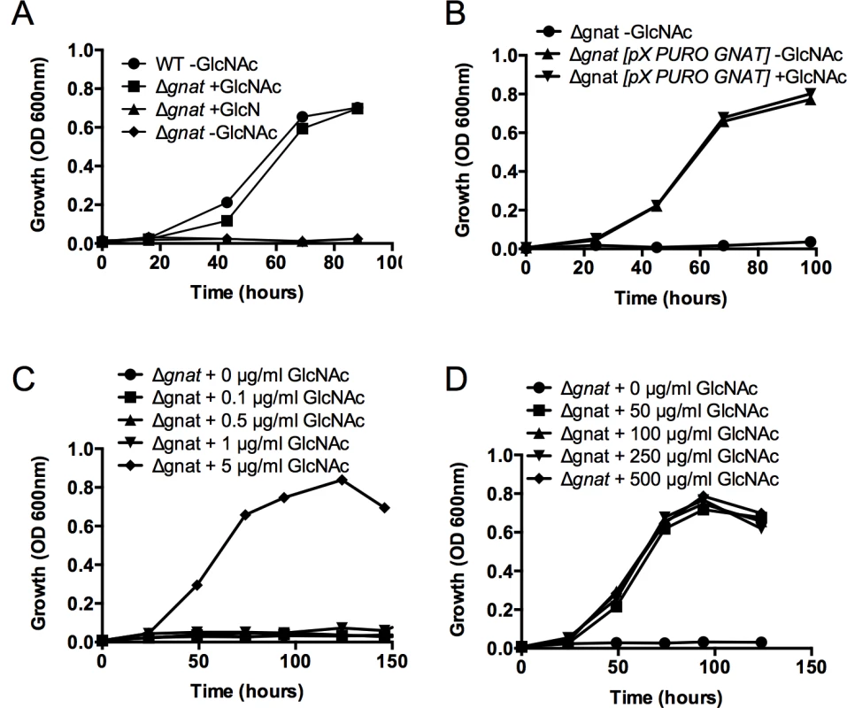 The <i>L</i>. <i>major ∆gnat</i> mutant is a GlcNAc auxotroph.
