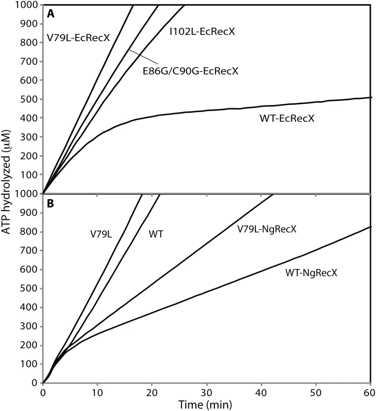 The effect of RecX proteins on ATPase activity of RecA variant proteins.