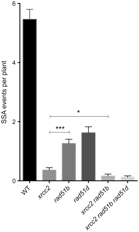 Individual and combined effects of <i>xrcc2, rad51b</i> and <i>rad51d</i> on spontaneous DGU.US recombination.