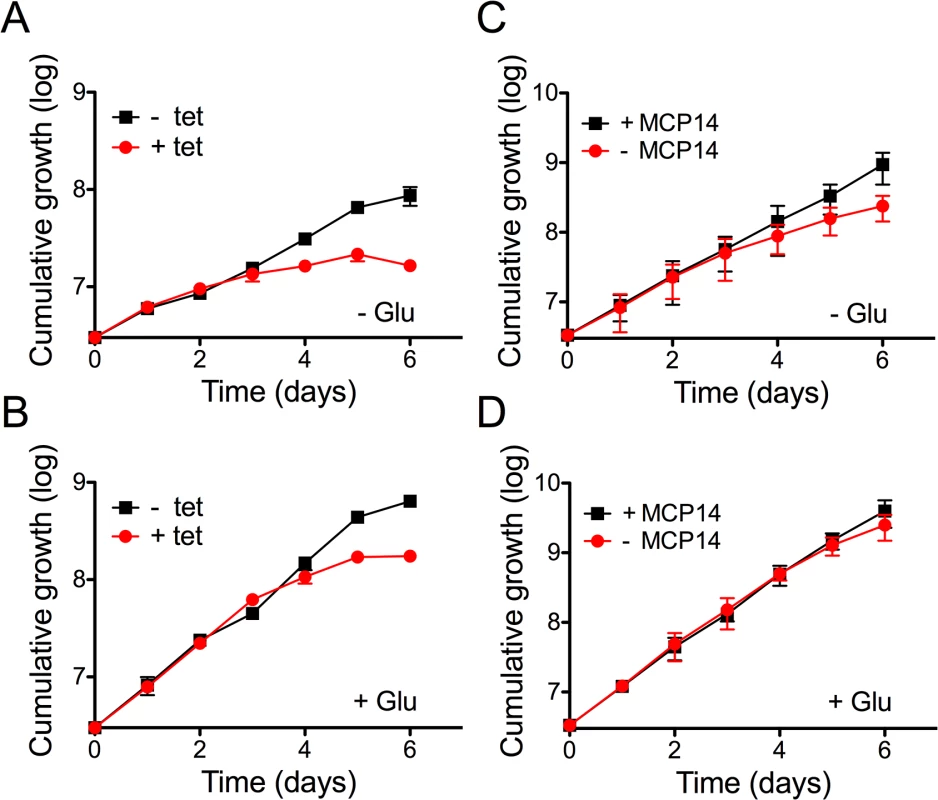 Effect of knock-down of TbMCP14 on growth of <i>T</i>. <i>brucei</i> procyclic forms cultured in glucose-depleted medium.